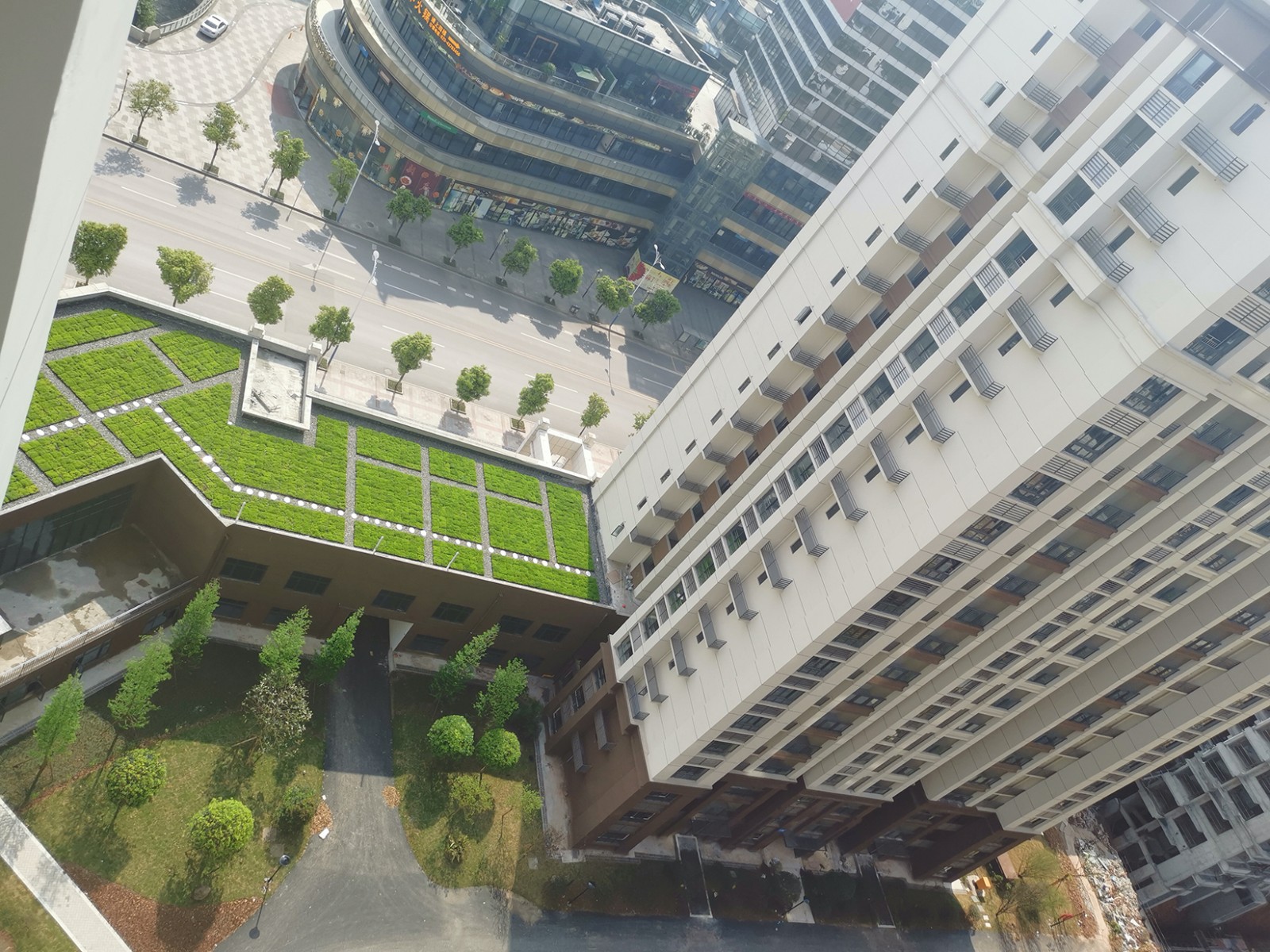 1621819274942654.jpg 屋頂綠化現(xiàn)場(chǎng)照片 (3)縮小版.jpg