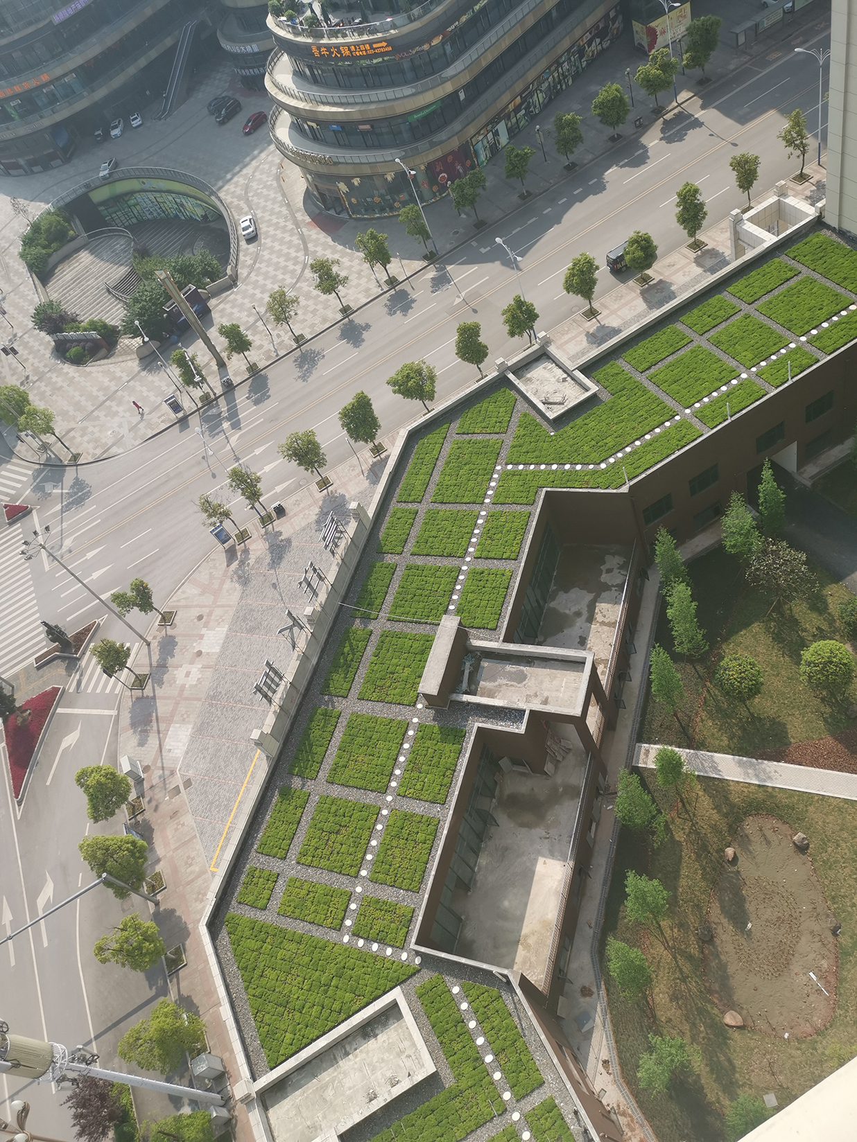 1621819376876600.jpg 屋頂綠化現(xiàn)場(chǎng)照片 (4)縮小版.jpg